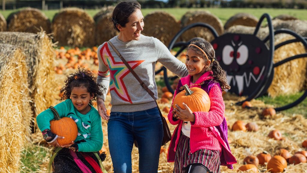 Best Pumpkin Patches and Corn Mazes Around Seattle, the Eastside and South Sound