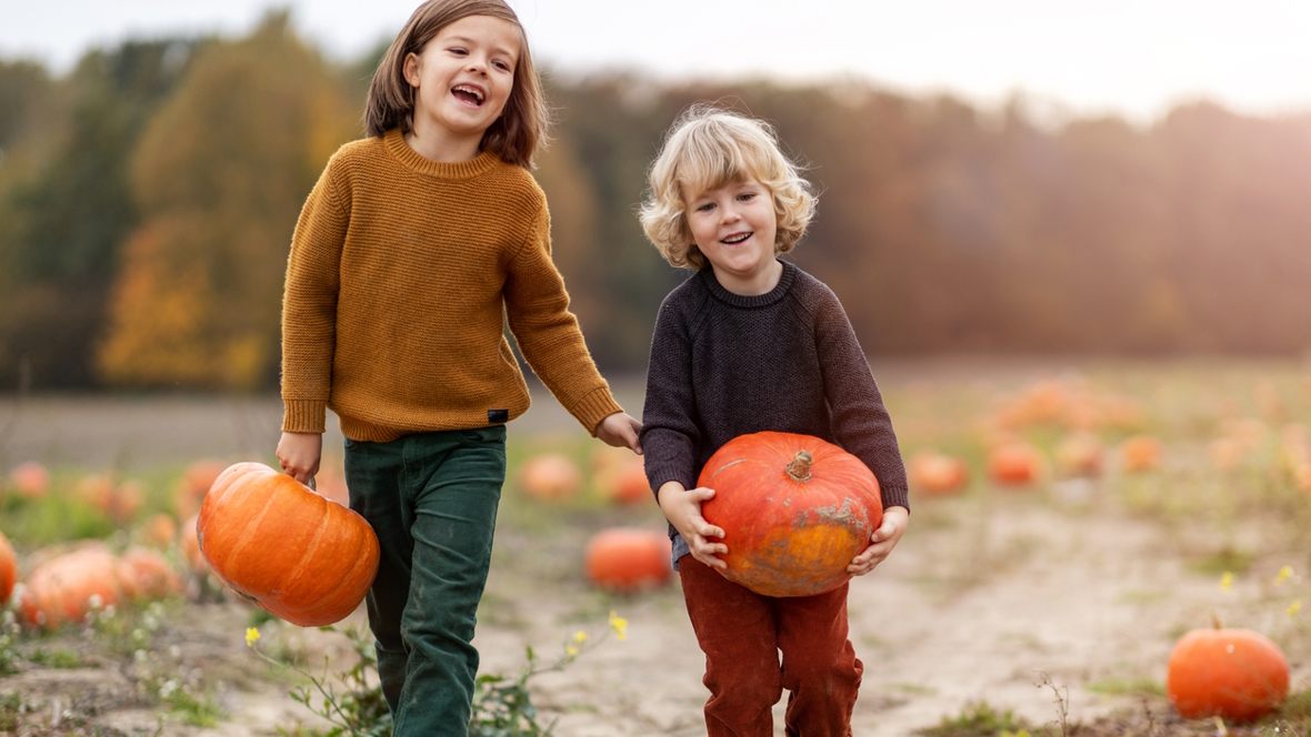 Siblings walking in a pumpkin field picking pumpkins near Seattle