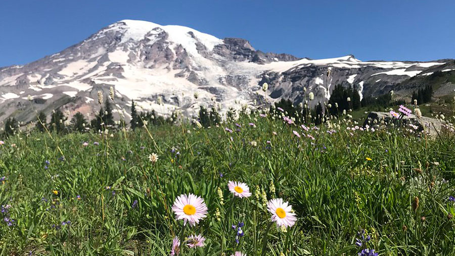 Mount Rainier