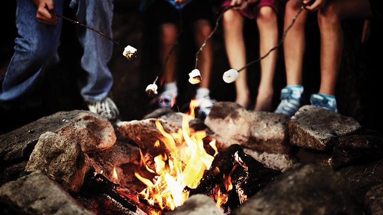 Classic Summer Camp Experiences Around Puget Sound for 2026