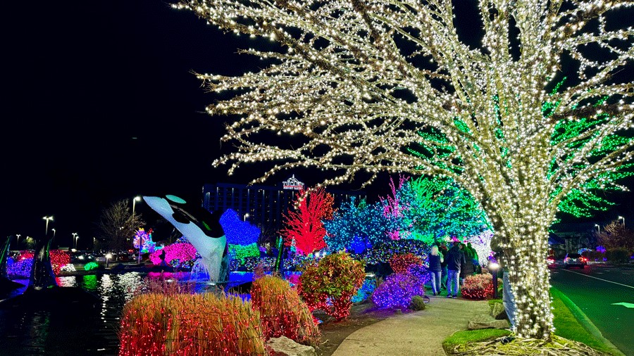 Orca water feature and sparkling lights at Tulalip Lights and Ice, a North Sound holiday light display