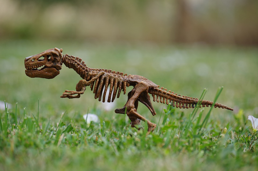 dinosaur skeleton outside