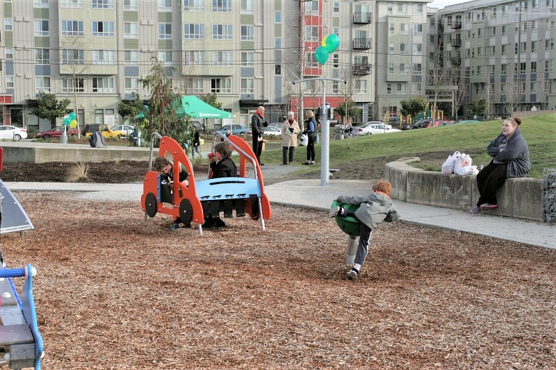 Bitter-Lake-playfield-seattle-playgrounds-with-fitness-equipment-for-grown-ups