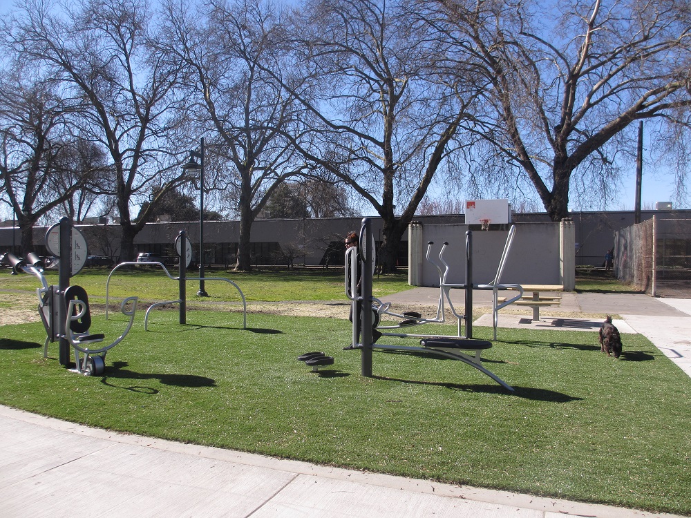 Georgetown Playground adult exercise equipment