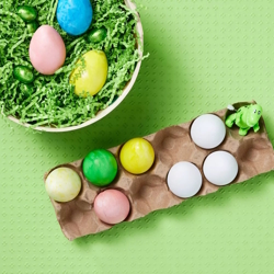 kit to dye plastic eggs for Easter