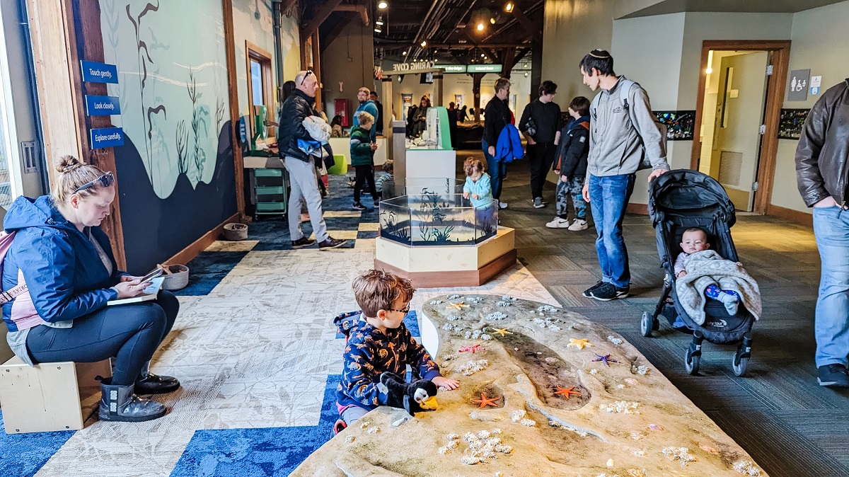 Caring Cove is popular with families visiting Seattle Aquarium