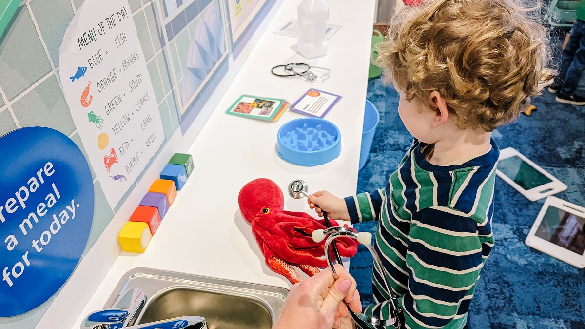 Boy plays with a plus octopus toy at the Seattle Aquarium's refreshed Caring Cove play area
