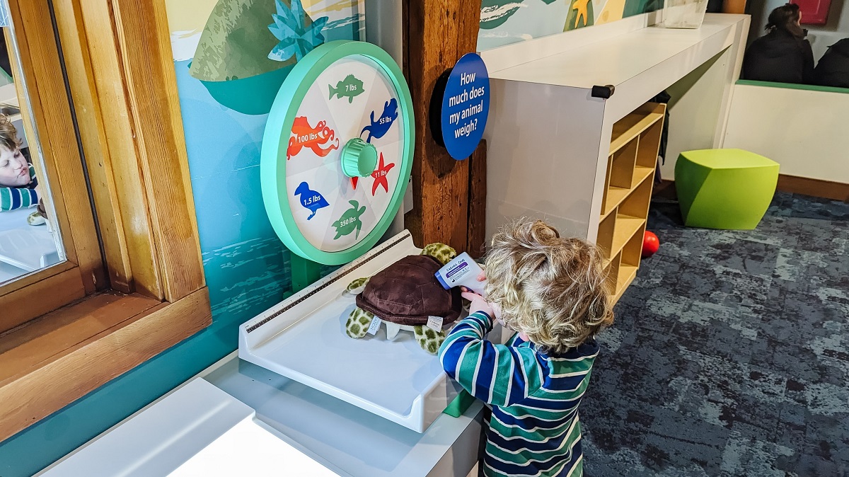 A young child checks the vitals of a toy turtle at the Seattle Aquarium's Caring Cove indoor play area