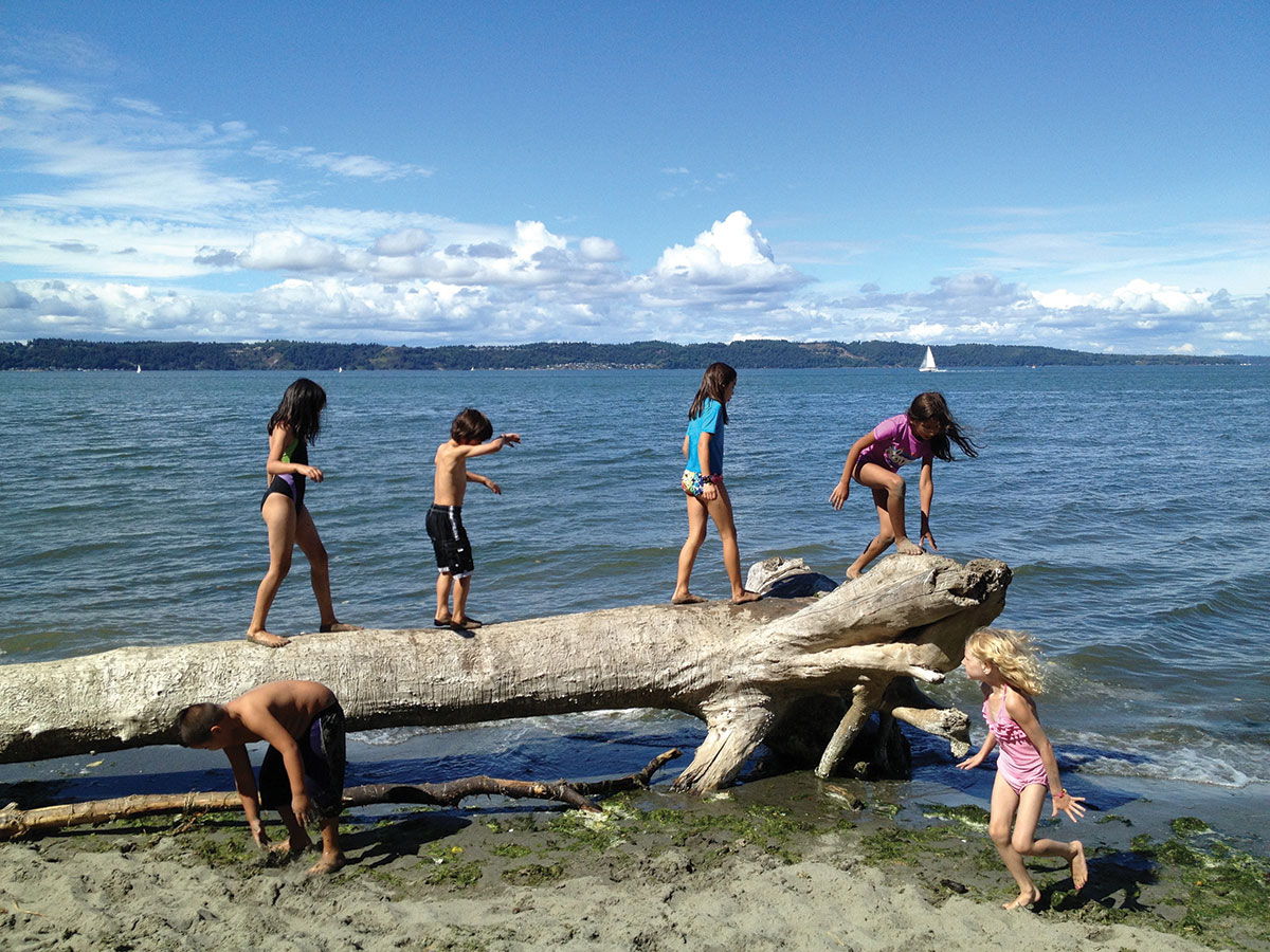 Dash Point State Park is a picnic spot near seattle with an ocean view