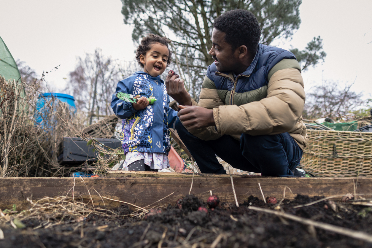 Father and young child working in a garden bed together