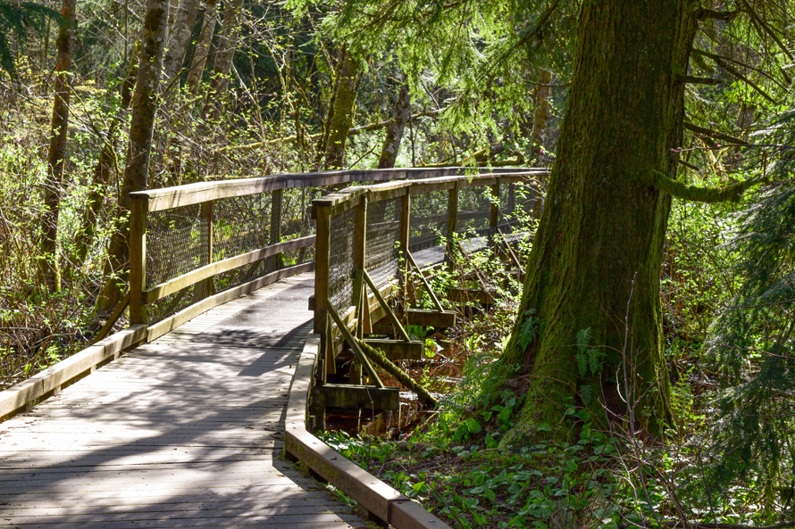 Best-hikes-for-strollers-tots-young-kids-families-near-west-hylebos-wetlands
