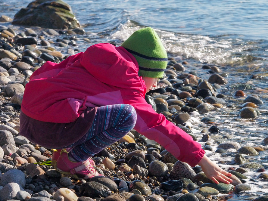 Best-hikes-for-strollers-tots-young-kids-families-near-Seattle-point-whitehorn-marine-reserve