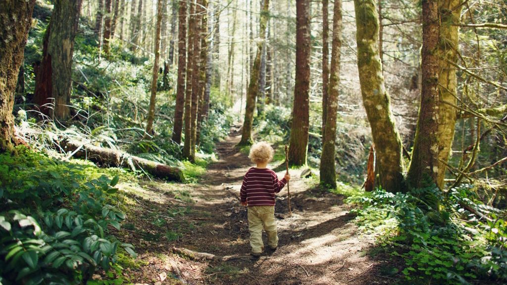 Best Kid-Friendly Fall Hikes Around Seattle