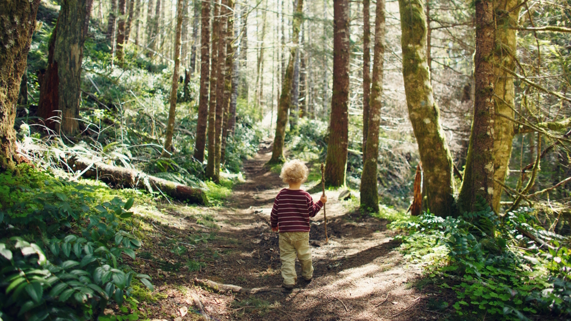 child walking through the forest on a kid-friendly fall hike