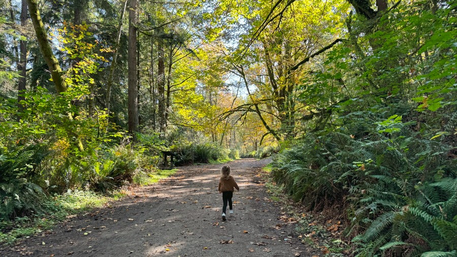A forest trail in Snohomish is a great kid-friendly fall hiking trail