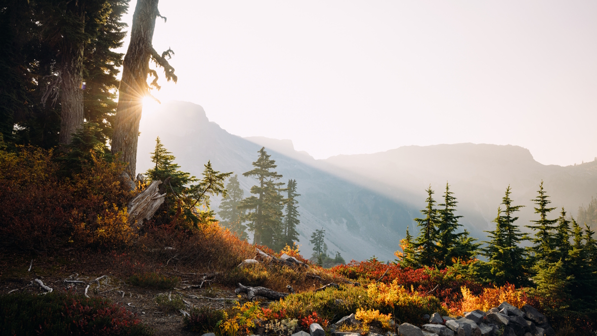 Mt. Baker fall colors, a great place for a kid-friendly fall hike. 