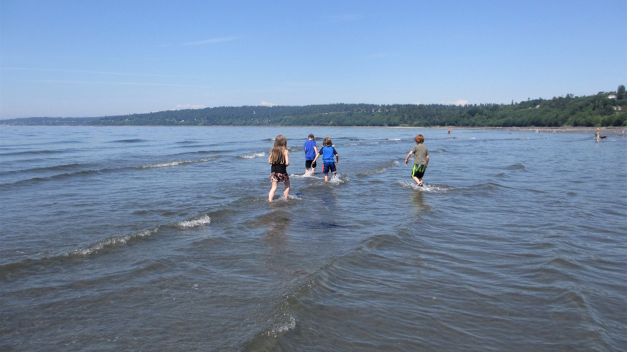 kids in the water at Carkeek park