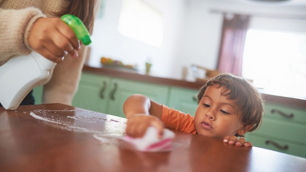 The Best DIY Eco-Friendly Cleaning Products for Your Home