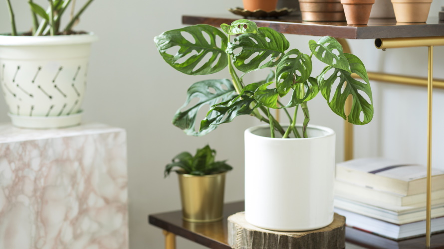 6 Simple Ideas to Brighten Up Your Home This Spring