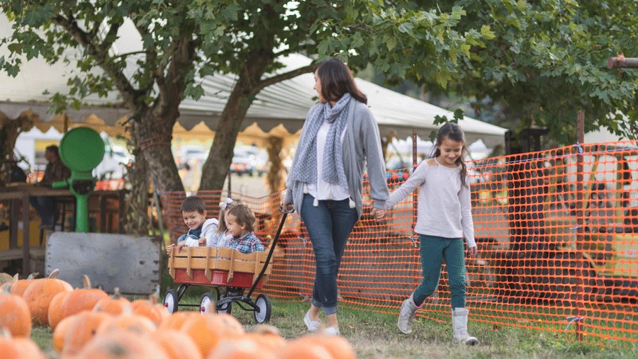 Kids in a wagon at a fall festival near Seattle