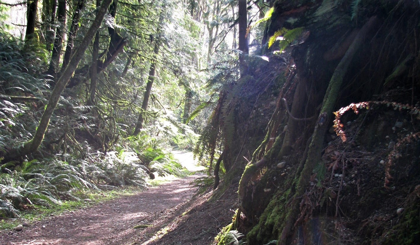 Flaming Geyser State Park Washington State parks near Seattle Puget Sound families kids visit coronavirus