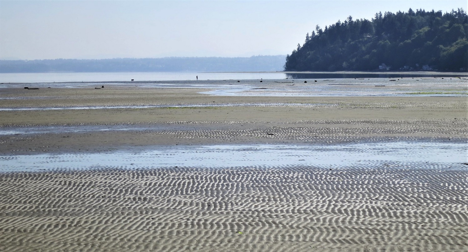Dash Point State Park Washington State parks near Seattle Puget Sound families kids visit coronavirus
