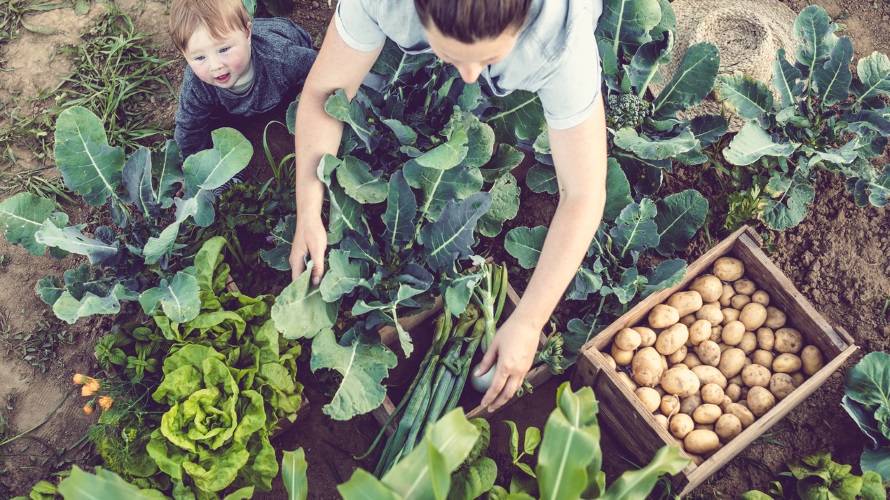 boy gardening