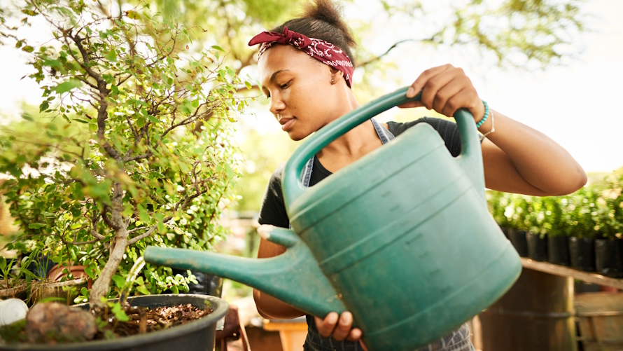Best Summer Jobs for Teens