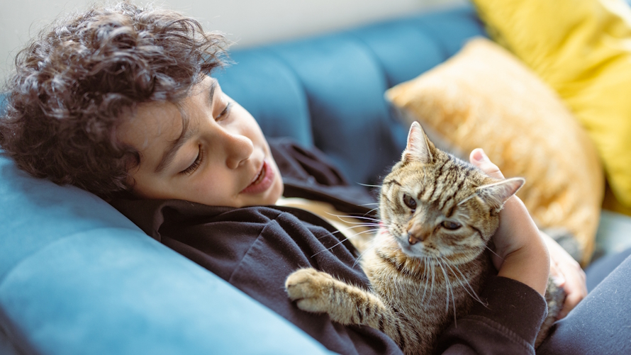 Boy sitting on the couch holding a cat