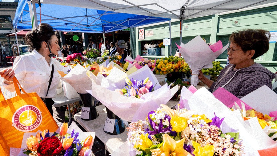 woman picking out flowers for Mother’s Day at Pike Place Market Flower Festival