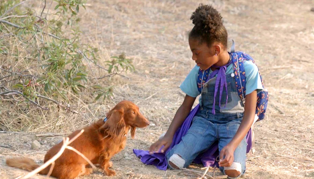The short film “Charlie and the Hunt” is part of the Dream Black shorts program in the 2023 Children’s Film Festival Seattle.