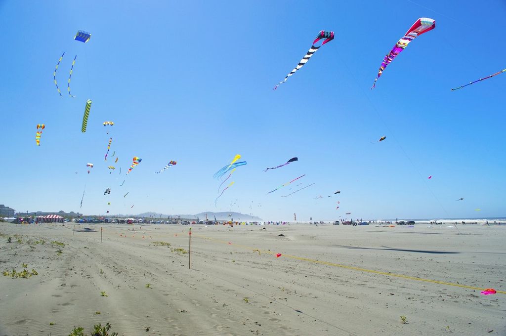 Washington State International Kite Festival 2024: Family Fun in Long Beach