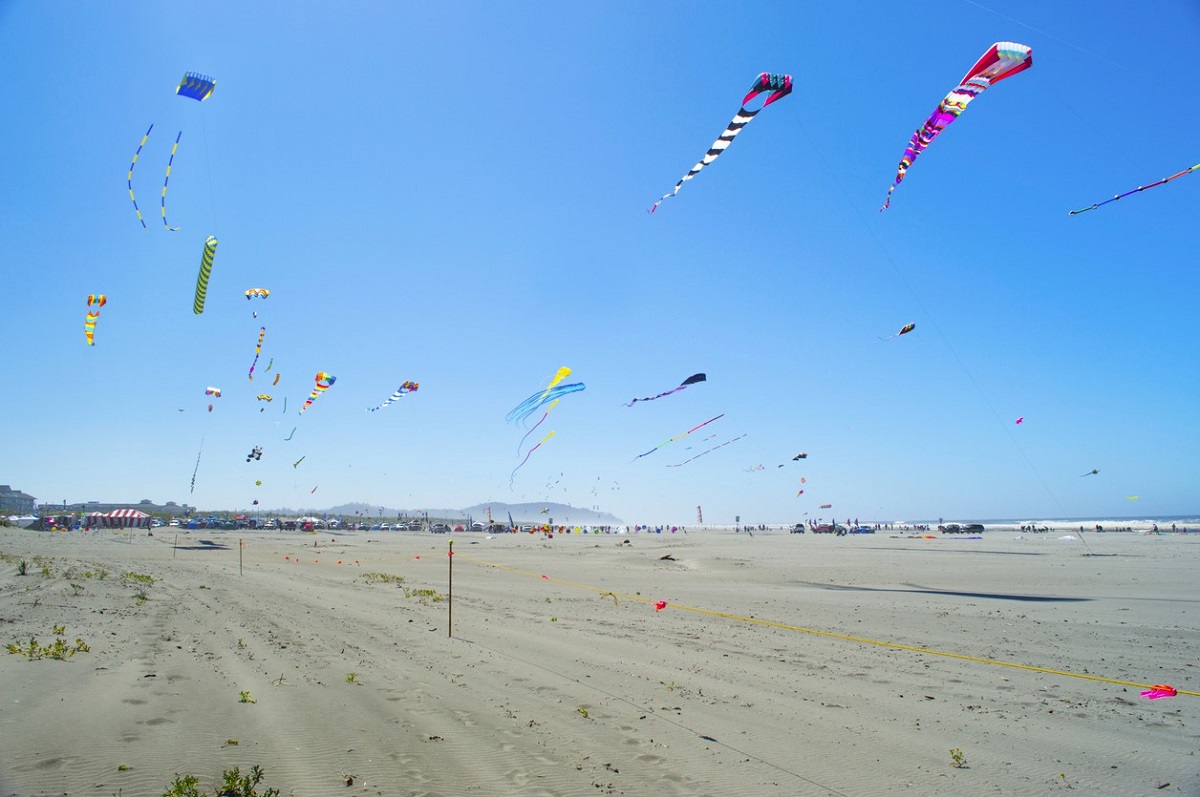 Many kites flying at the International Kite Festival in Long Beach, Washington