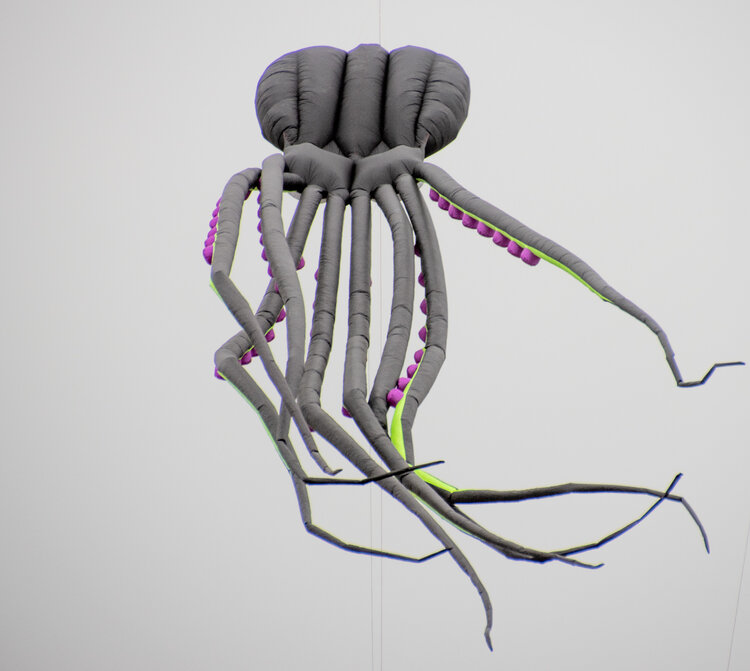 A giant kite in the shape of an octopus