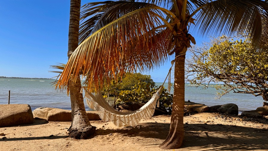 Tropical Family Escape: Where to Stay and Play in Puerto Rico