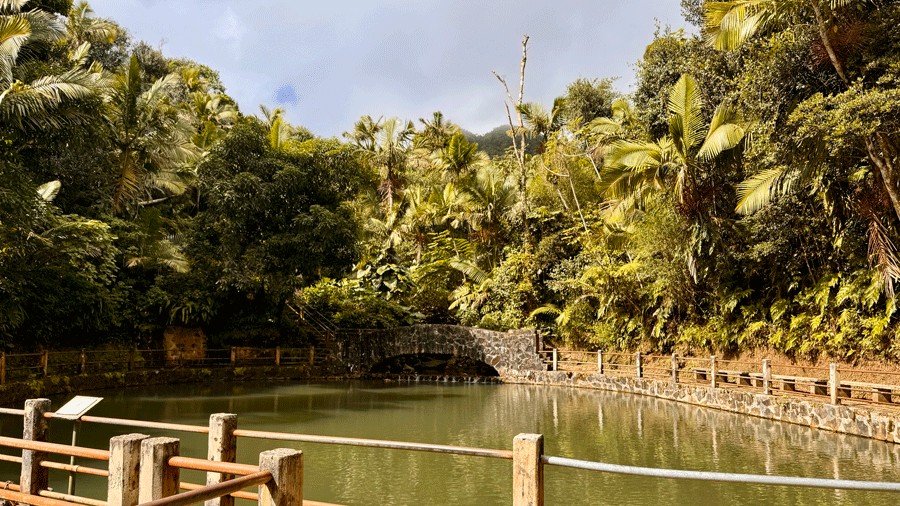 Bano Grande in Puerto Rico