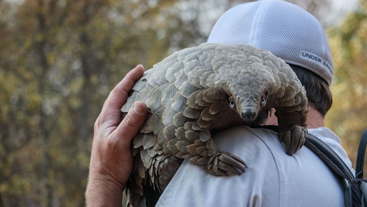 Kulu with her human guardian