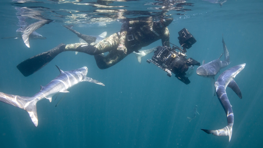 Our Planet best earth day movies for kids