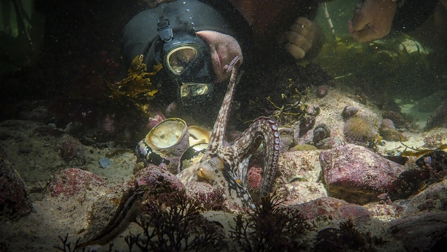 My Octopus Teacher best earth day movies for kids
