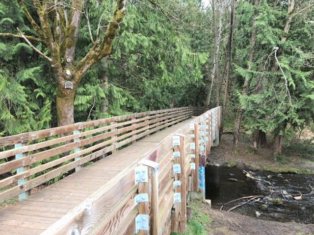 Fennel Creek Trail gnome door Bonney Lake Washington