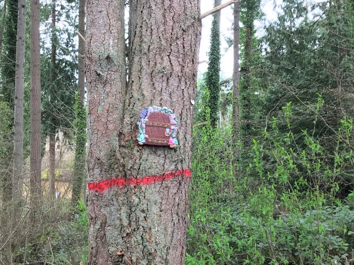 Gnome door at Bonney Lake dog park Viking Park Bonney Lake family fun