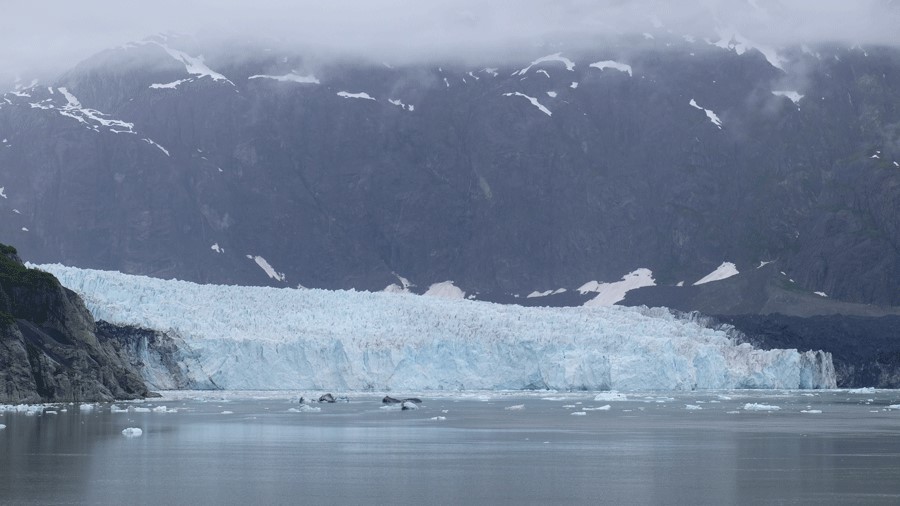 Glacier views from Alaskan cruise ship
