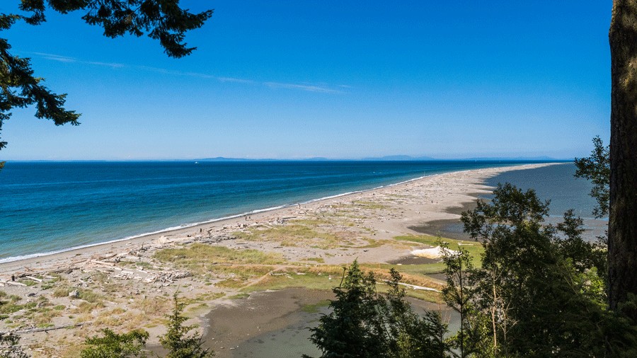 Stretch of the Dungeness Spit during summer, where families can stay in a lighthouse