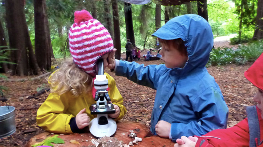 Fiddleheads Forest School. Photo credit: Sarah Heller