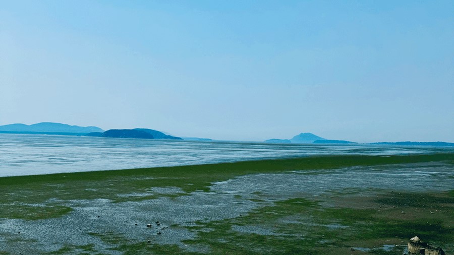 Water views of the Padilla Bay Reserve beach, one of the many places to visit in Skagit Valley