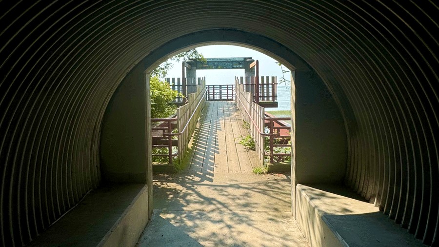 Tunnel and trails down to the beach at Padilla Bay Reserve in Skagit Valley