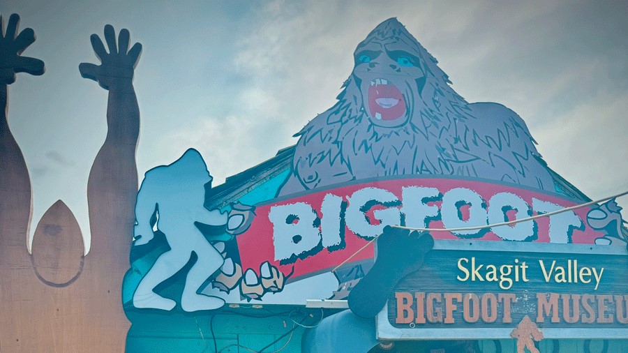 Signs at the Skagit-Squatch Bigfoot Museum, a fun thing to do in Skagit Valley