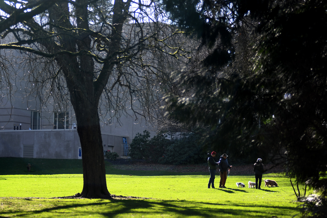 SAAM-renovated-tips-for-families-kids-connection-to-Seattle-Volunteer-Park