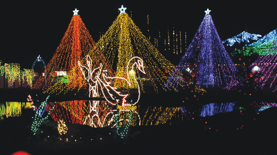 Holiday lights