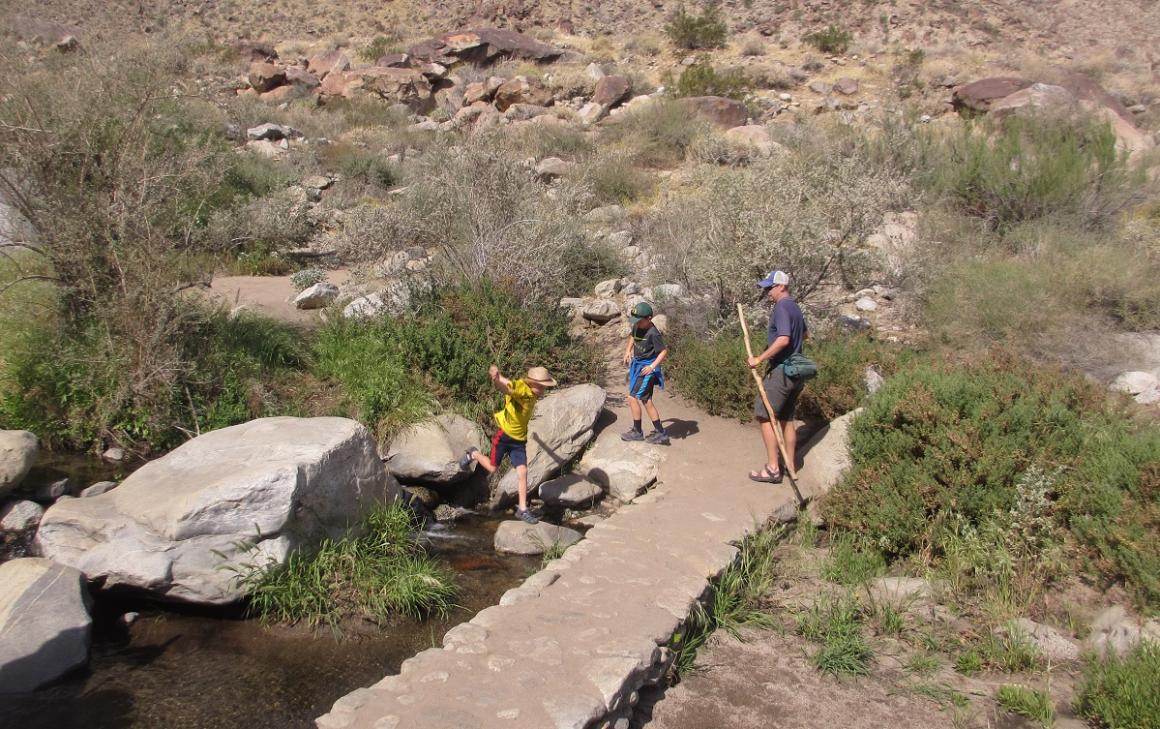 Remarkable hiking at Indian Canyons in Palm Springs right in town best sunny destinations for Seattle families